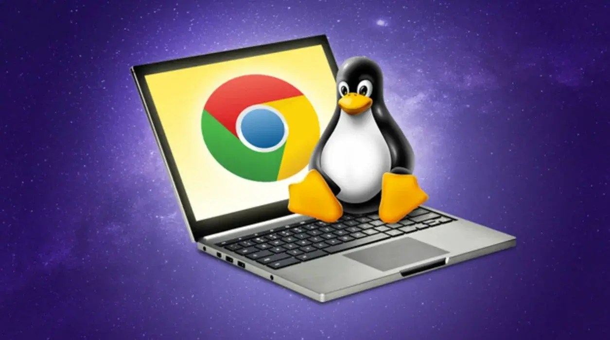 Сравнение Astra Linux, РЕД ОС, Альт Линукс – что выбрать для госструктур и бизнеса
