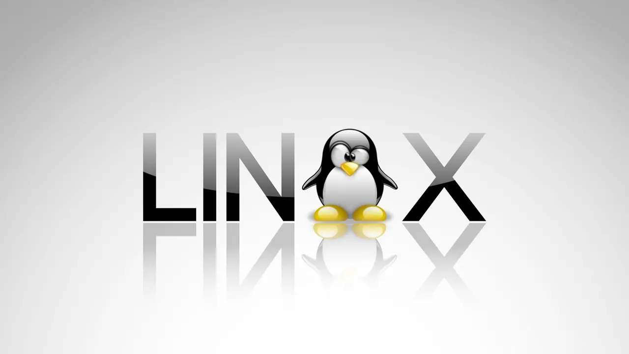 Работа в Linux без Google: как использовать только отечественные решения